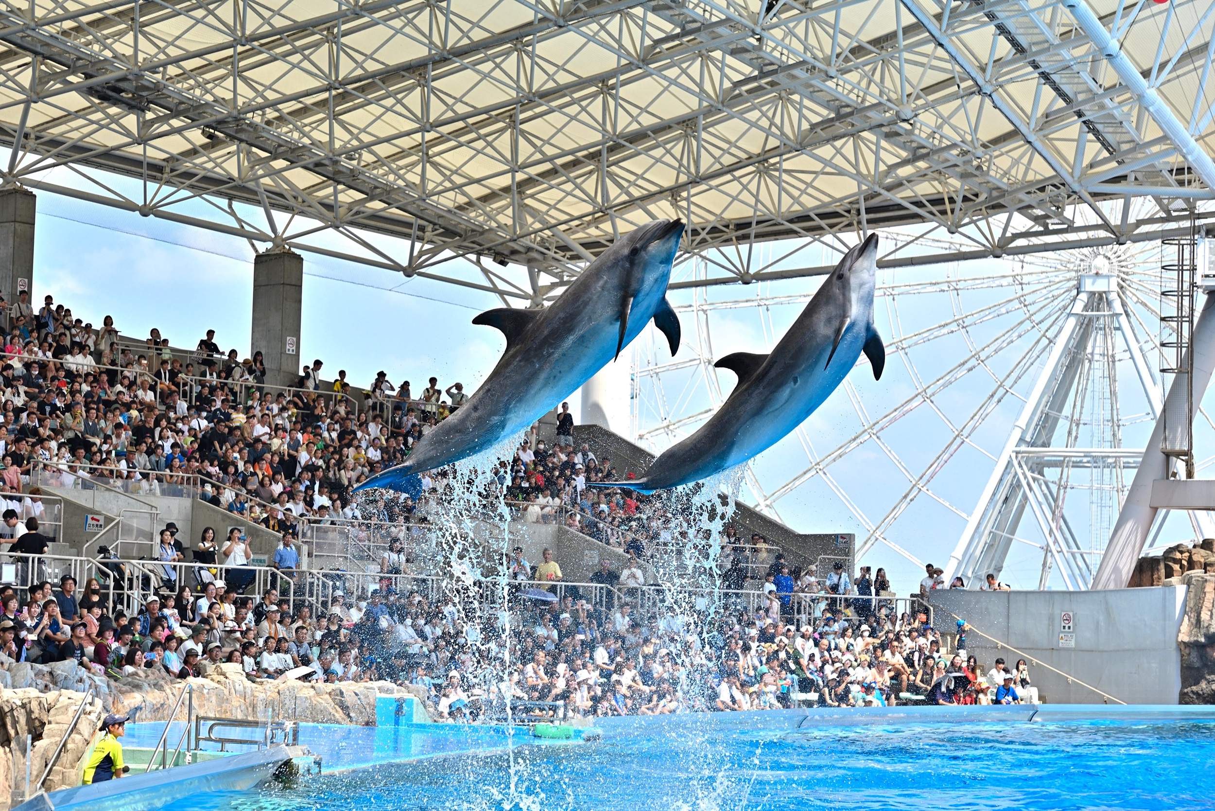 名古屋港水族館
