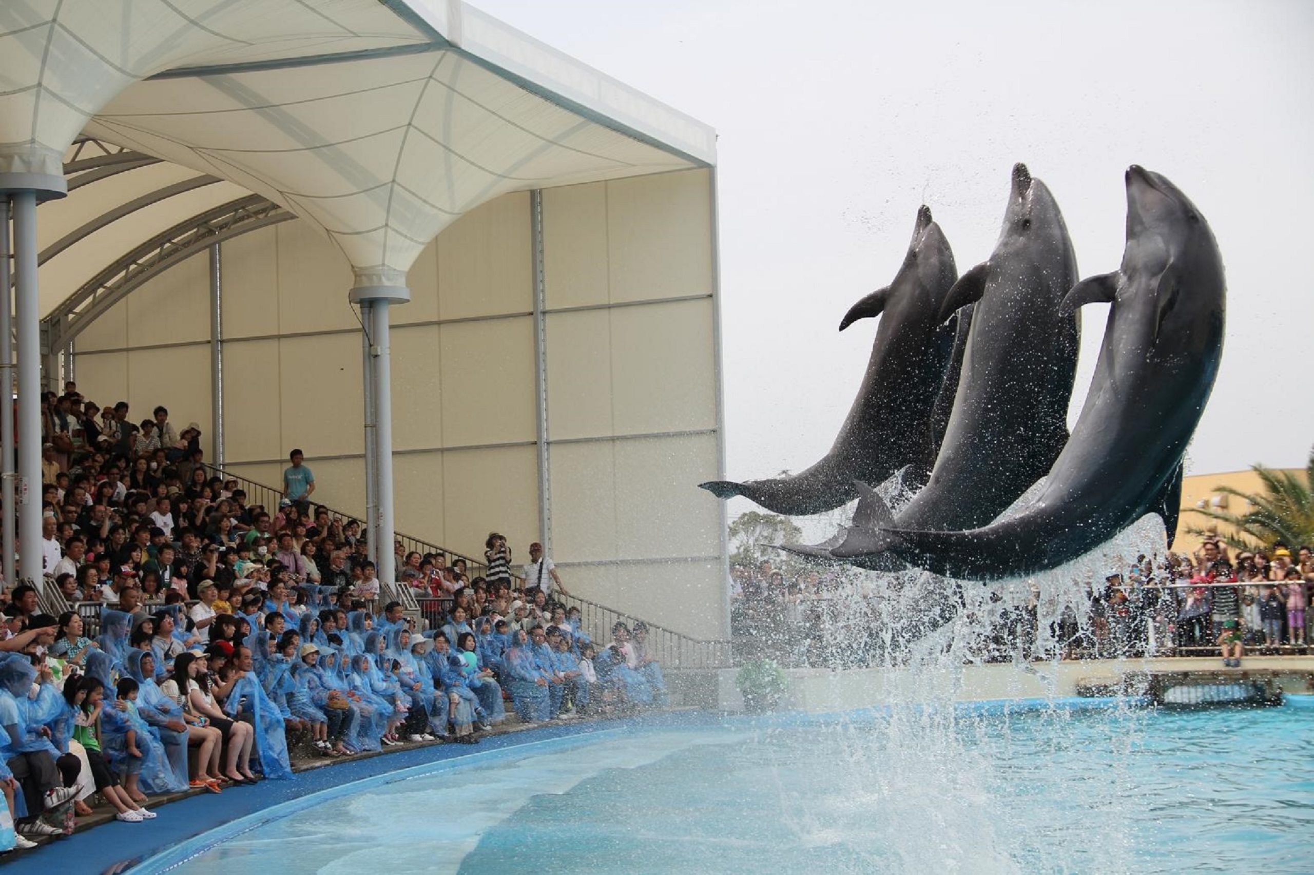 南知多ビーチランド＆南知多おもちゃ王国