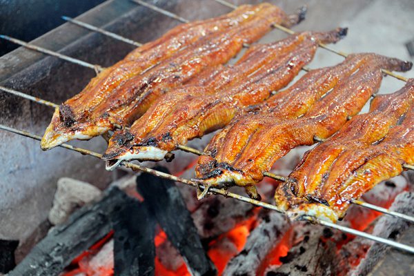 三河一色のうな重と甘い苺・抹茶でグルメ旅