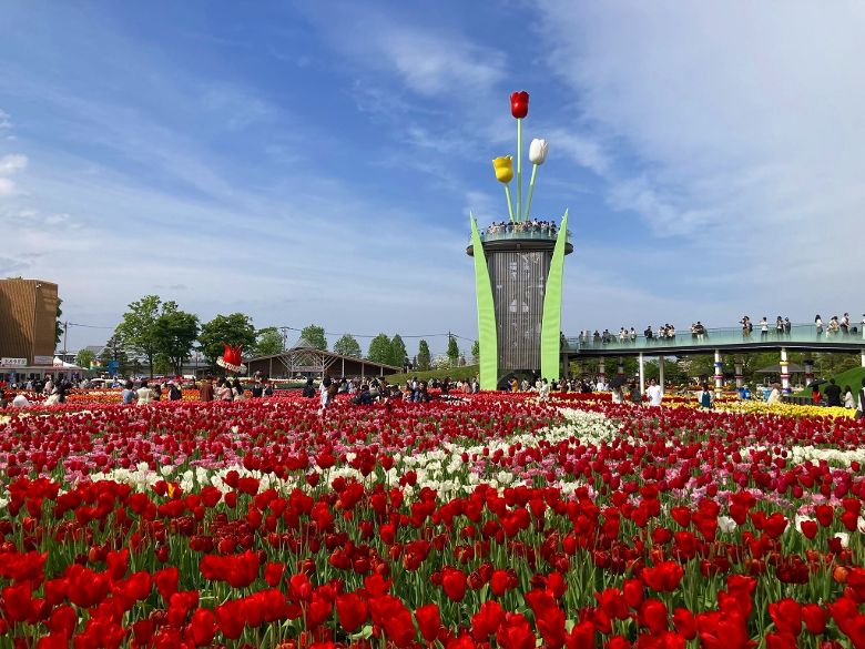 となみチューリップフェア～ 思いをつなぐ となみ花物語 ～