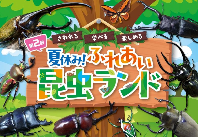 第2回　夏休み！ふれあい昆虫ランド