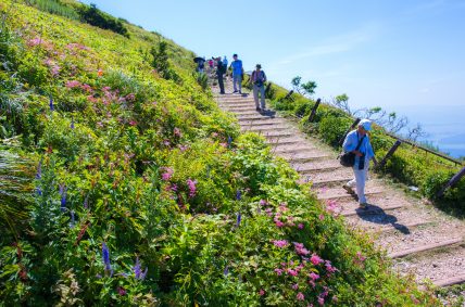 日本百名山「伊吹山」ハイキング＆長浜 自由散策
