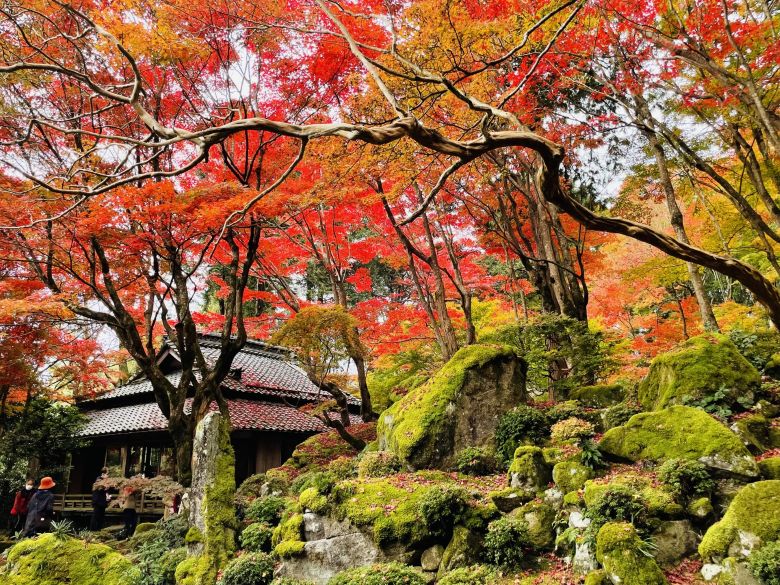 安土の名刹 教林坊の紅葉と湖畔レストランでフレンチ