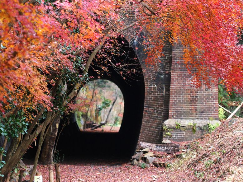 愛岐トンネル群の紅葉と犬山城下町散策